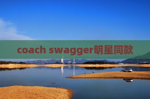 coach swagger明星同款
